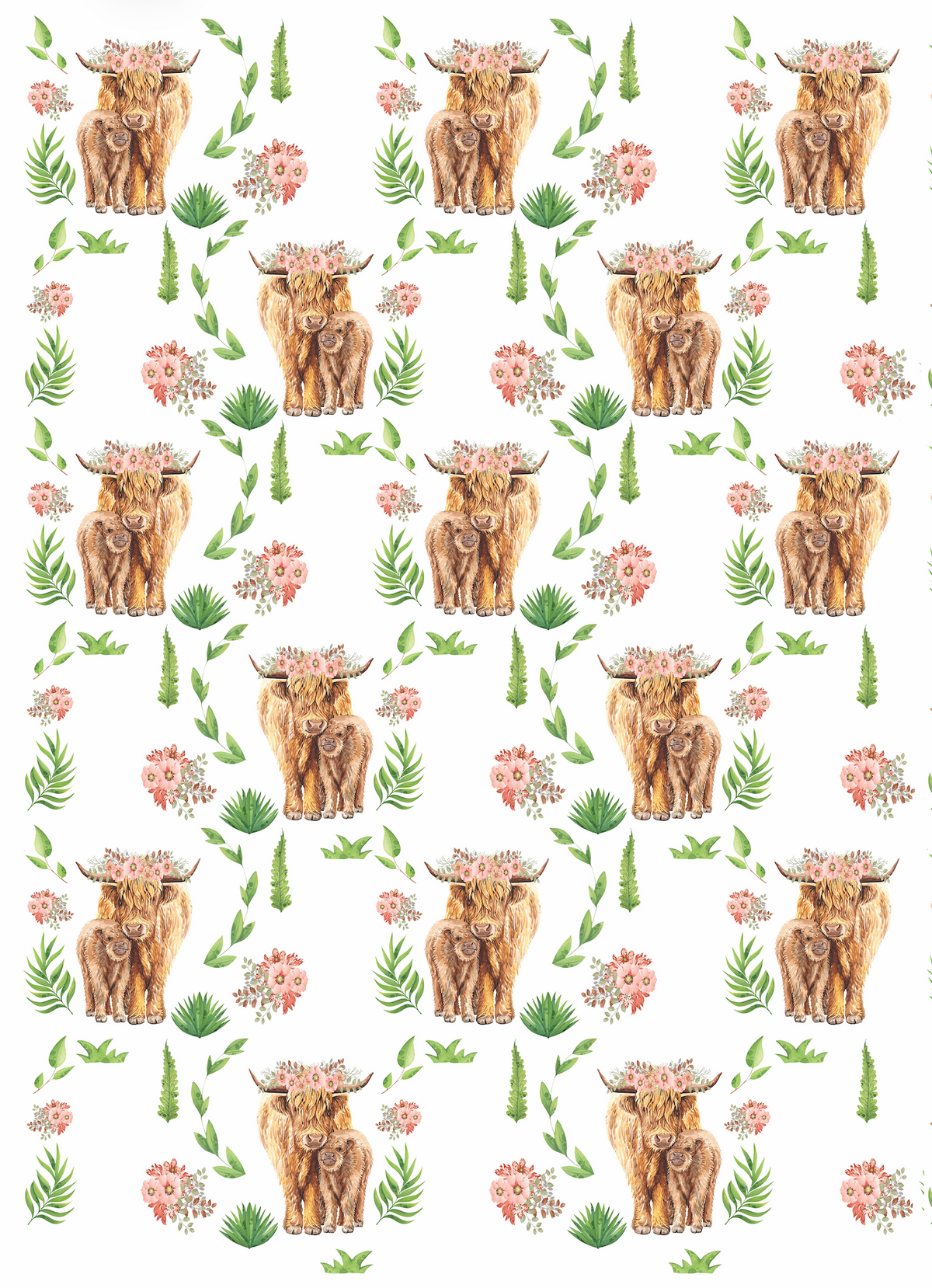 Couverture minky - Vaches highlands fond blanc
