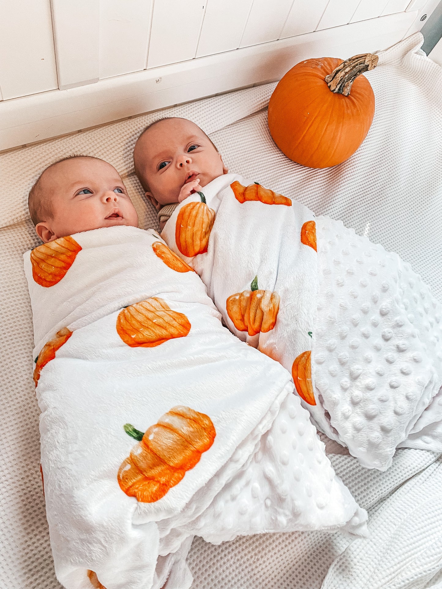 Couverture minky - Citrouille