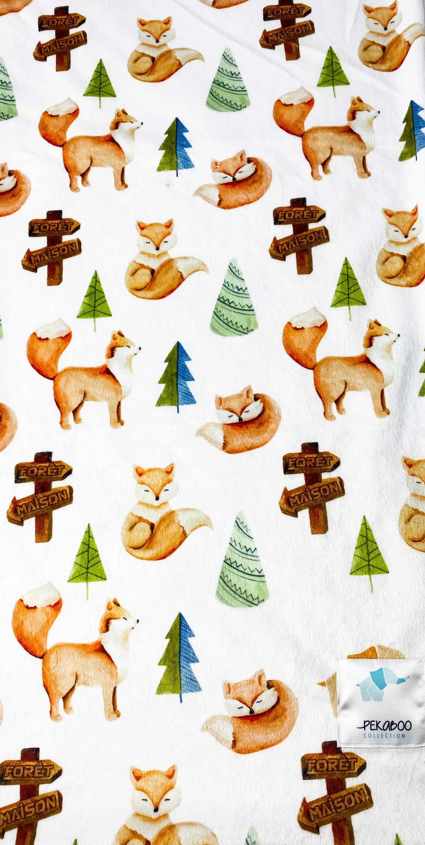 Couverture magiks - Renards forêt maison