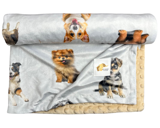 Couverture minky - Chiens mixte