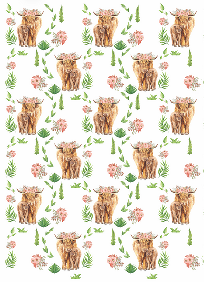 Couverture minky - Vaches highlands fond blanc