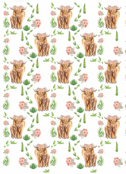 Couverture magiks - Vaches highlands fond blanc