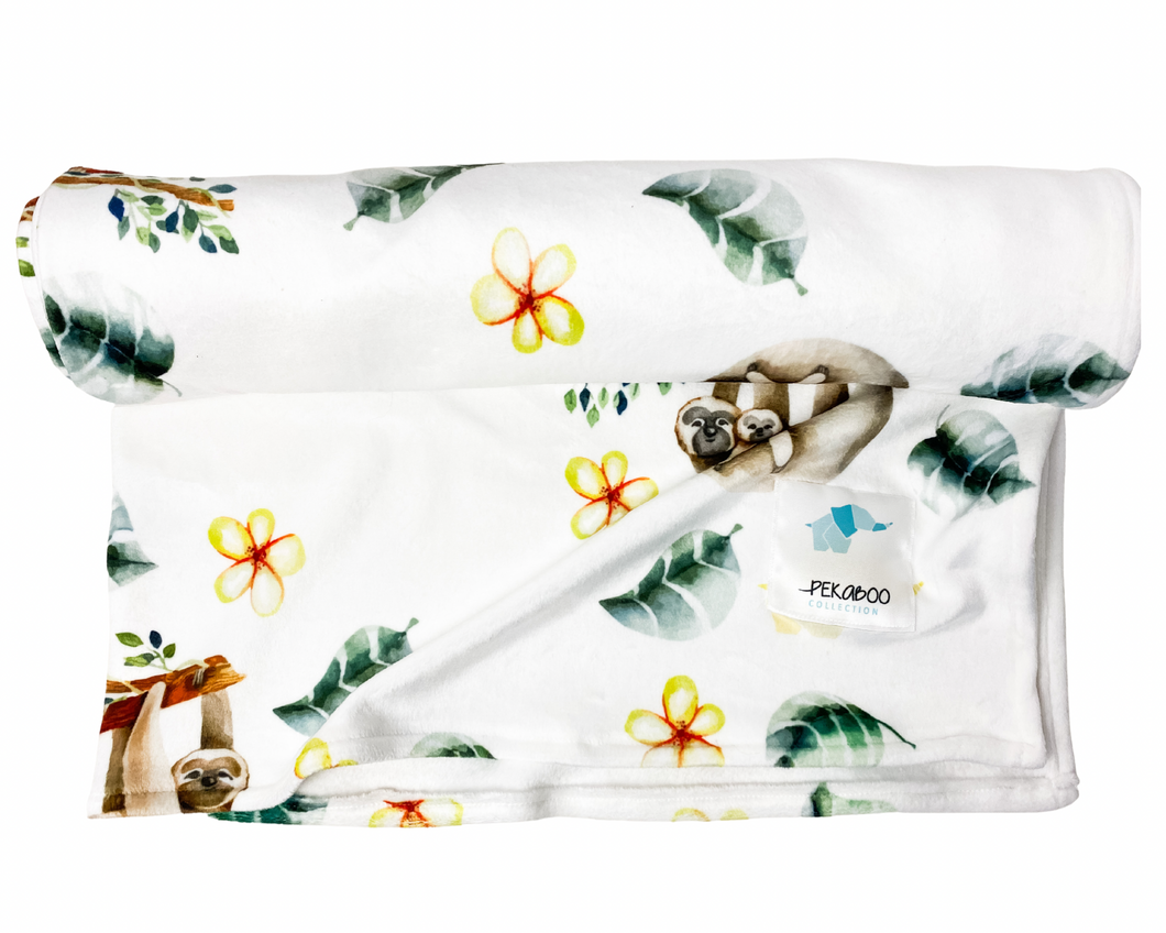 Couverture magiks-Paresseux